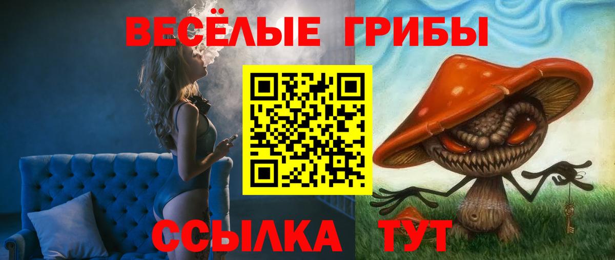 Углич  Галлюциногенные грибы Cubensis  Вход с VPN 